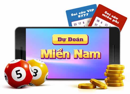 dự đoán chuẩn 100 cặp xíu chủ mn
