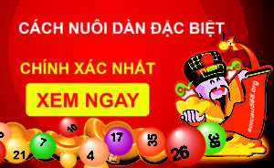 Xác suất lô về cả cặp – kinh nghiệm soi lô về cả cặp chuẩn nhất 2025
